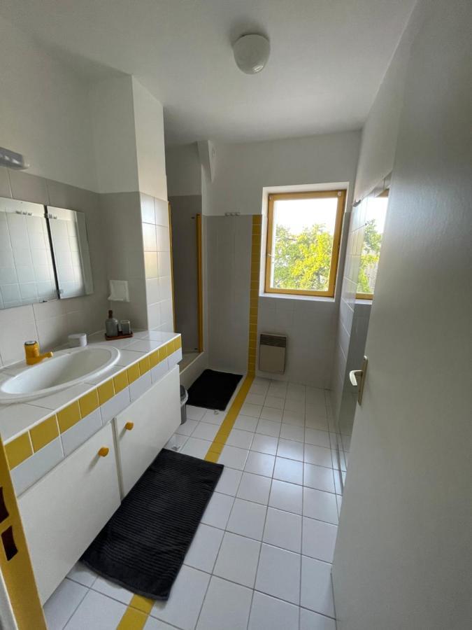 Grand Appartement Hypercentre Avec Terrasse Et Parking 普瓦捷 外观 照片