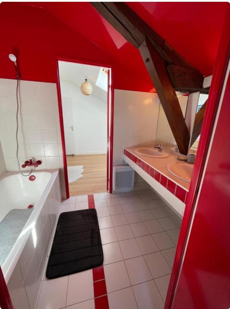 Grand Appartement Hypercentre Avec Terrasse Et Parking 普瓦捷 外观 照片